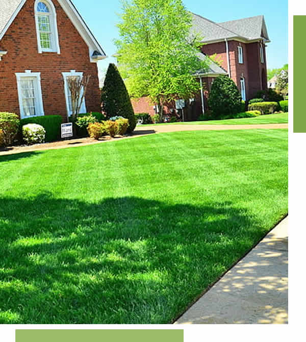 Professional Lawn Aerating Services Appleton, WI