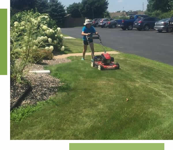 Professional Lawn Mowing Services Appleton, WI