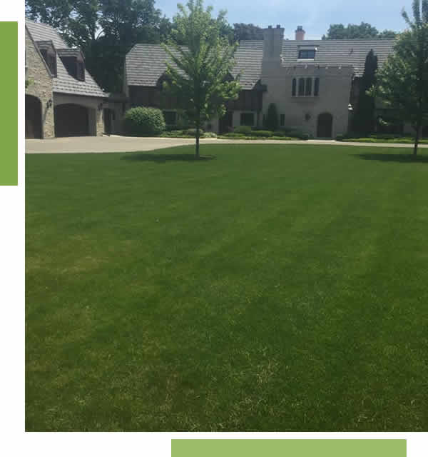 Professional Lawn Maintenance Services Appleton, WI