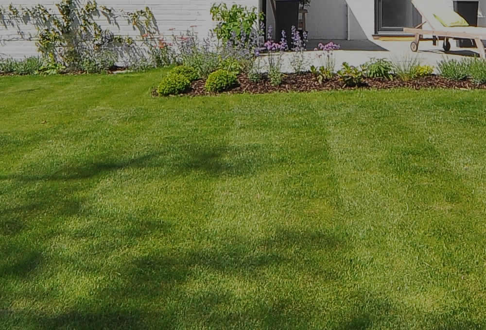 Professional Appleton Lawn Care WI