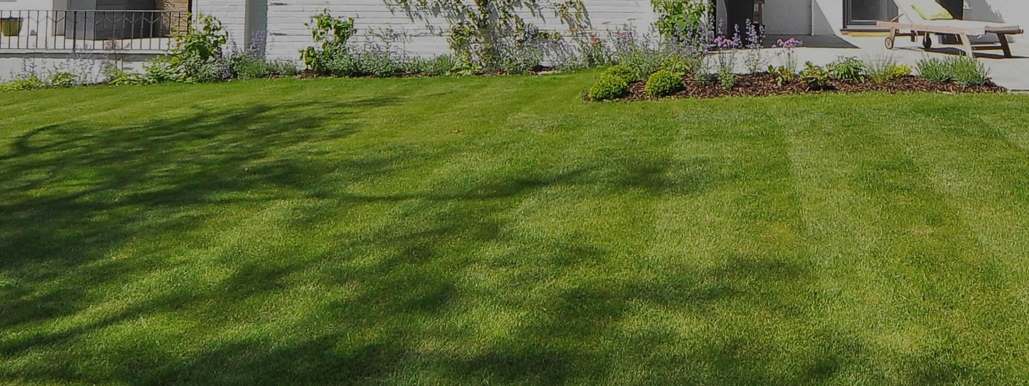 Professional Appleton Lawn Care